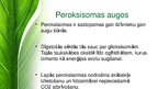 Prezentācija 'Peroksisomas - bioloģija', 4.