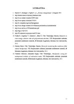 Referāts 'Radioaktīvais starojums kā vides piesārņojums, un tā ietekme uz cilvēku un vidi', 20.