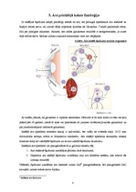 Referāts 'Acs priekšējā kakta uzbūve un fizioloģija', 8.