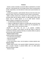 Referāts 'Acs priekšējā kakta uzbūve un fizioloģija', 13.