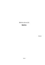 Referāts 'Referāts par budžetu', 1.
