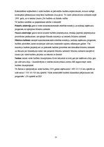 Referāts 'Referāts par budžetu', 10.