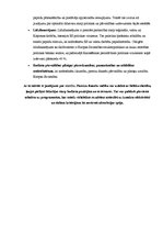 Referāts 'Referāts par budžetu', 30.