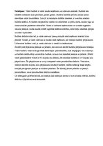 Referāts 'Referāts par budžetu', 33.
