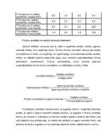 Referāts 'Bankas kreditēšanas galvenie principi', 9.