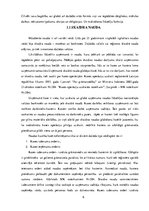 Referāts 'Naudas līdzekļu uzskaite un kontrole', 6.