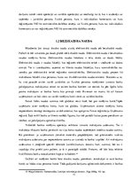 Referāts 'Naudas līdzekļu uzskaite un kontrole', 11.