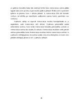 Referāts 'Naudas līdzekļu uzskaite un kontrole', 26.