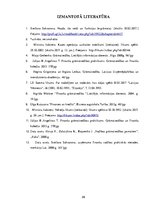 Referāts 'Naudas līdzekļu uzskaite un kontrole', 29.