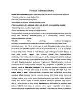 Konspekts 'Feodālā sadrumstalotība', 1.