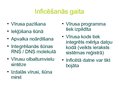 Prezentācija 'Bioloģisko vīrusu salīdzinājums ar datorvīrusu', 4.