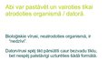 Prezentācija 'Bioloģisko vīrusu salīdzinājums ar datorvīrusu', 8.
