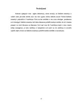 Referāts 'Iekšlietu ministrija kā pārvaldes institūcija un padotībā esošās iestādes', 17.