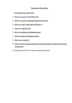 Referāts 'Iekšlietu ministrija kā pārvaldes institūcija un padotībā esošās iestādes', 18.