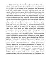 Referāts 'Latvijas Banka', 17.