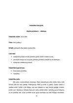 Prakses atskaite 'Prakse', 19.