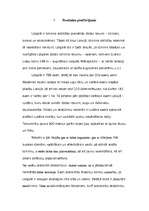 Konspekts 'Latgales novadu tūrisma resursu analīze un iespējamā tūrisma produkta piedāvājum', 7.