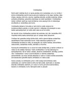 Eseja 'Cilvēktiesības', 1.