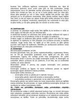 Konspekts 'Lietu tiesības', 13.