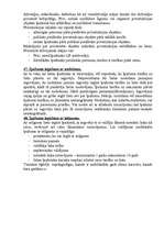 Konspekts 'Lietu tiesības', 14.