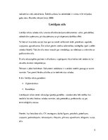 Referāts 'Latviešu literārās valodas funkcionālie stili', 5.