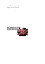 Konspekts 'Organismu segas nozīme', 4.