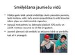 Prezentācija 'Smēķēšanas atkarība', 5.