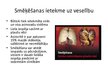 Prezentācija 'Smēķēšanas atkarība', 8.