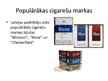 Prezentācija 'Smēķēšanas atkarība', 13.
