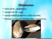 Prezentācija 'Gliemji', 5.