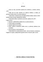 Prakses atskaite 'Profesionālās prakses pārskats', 2.