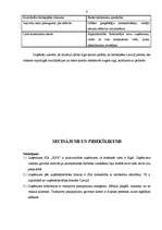 Prakses atskaite 'Profesionālās prakses pārskats', 8.