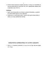 Prakses atskaite 'Profesionālās prakses pārskats', 9.