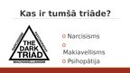 Prezentācija 'Tumšā triāde', 3.