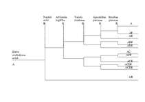 Konspekts 'Notikumu loģiska analīze', 1.