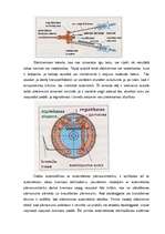 Konspekts 'Bremžu iekārtas ar mehānisko pārvadu', 9.