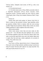 Referāts 'Tūrisma iespējas Kurzemē', 19.