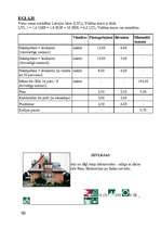 Referāts 'Tūrisma iespējas Kurzemē', 50.