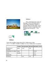 Referāts 'Tūrisma iespējas Kurzemē', 54.