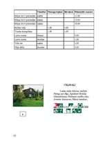 Referāts 'Tūrisma iespējas Kurzemē', 57.