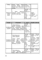 Referāts 'Tūrisma iespējas Kurzemē', 66.