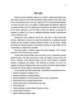 Referāts 'Reklāmas radošais darba plāns', 3.