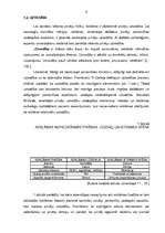 Diplomdarbs 'Reklāmas ietekme uz pirkuma lēmuma pieņemšanu Latvijas tirgū', 9.