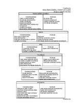 Diplomdarbs 'Reklāmas ietekme uz pirkuma lēmuma pieņemšanu Latvijas tirgū', 41.
