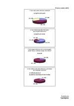 Diplomdarbs 'Reklāmas ietekme uz pirkuma lēmuma pieņemšanu Latvijas tirgū', 45.