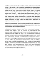 Referāts 'Rubenis', 2.