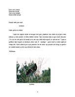 Referāts 'Rubenis', 4.