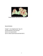 Referāts 'Rubenis', 5.