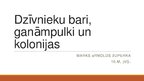 Prezentācija 'Dzīvnieku ganāmpulki, bari un kolonijas', 1.