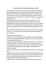 Prakses atskaite 'Saulkrastu pilsētas ar lauku teritoriju pašvaldība', 7.